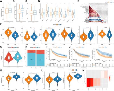 Molecular characterization based on tumor microenvironment-related signatures for guiding immunotherapy and therapeutic resistance in lung adenocarcinoma